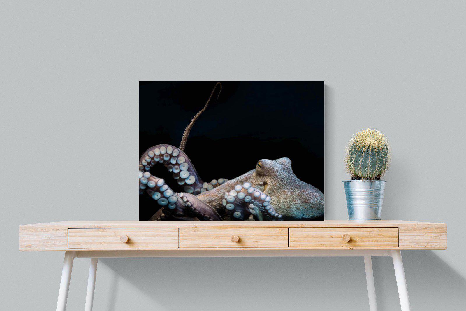 Octopus-Wall_Art-80 x 60cm-Mounted Canvas-No Frame-Pixalot