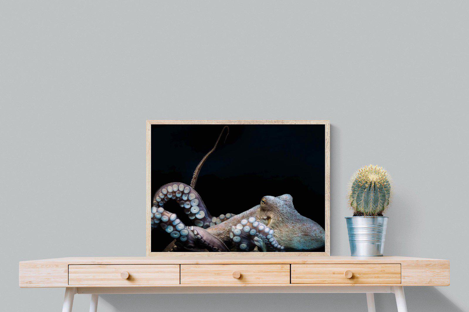 Octopus-Wall_Art-80 x 60cm-Mounted Canvas-Wood-Pixalot