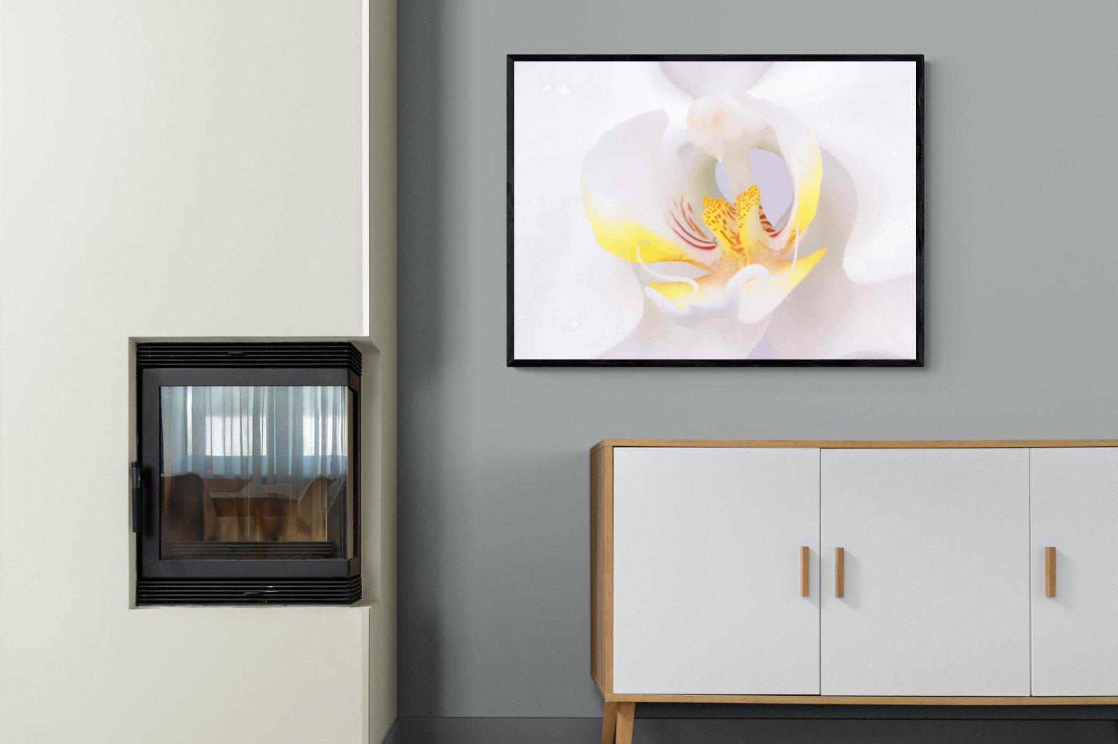 Orchid-Wall_Art-100 x 75cm-Mounted Canvas-Black-Pixalot