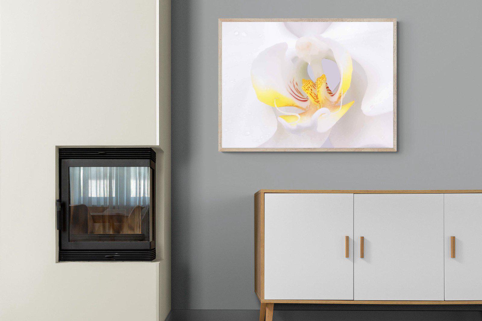 Orchid-Wall_Art-100 x 75cm-Mounted Canvas-Wood-Pixalot