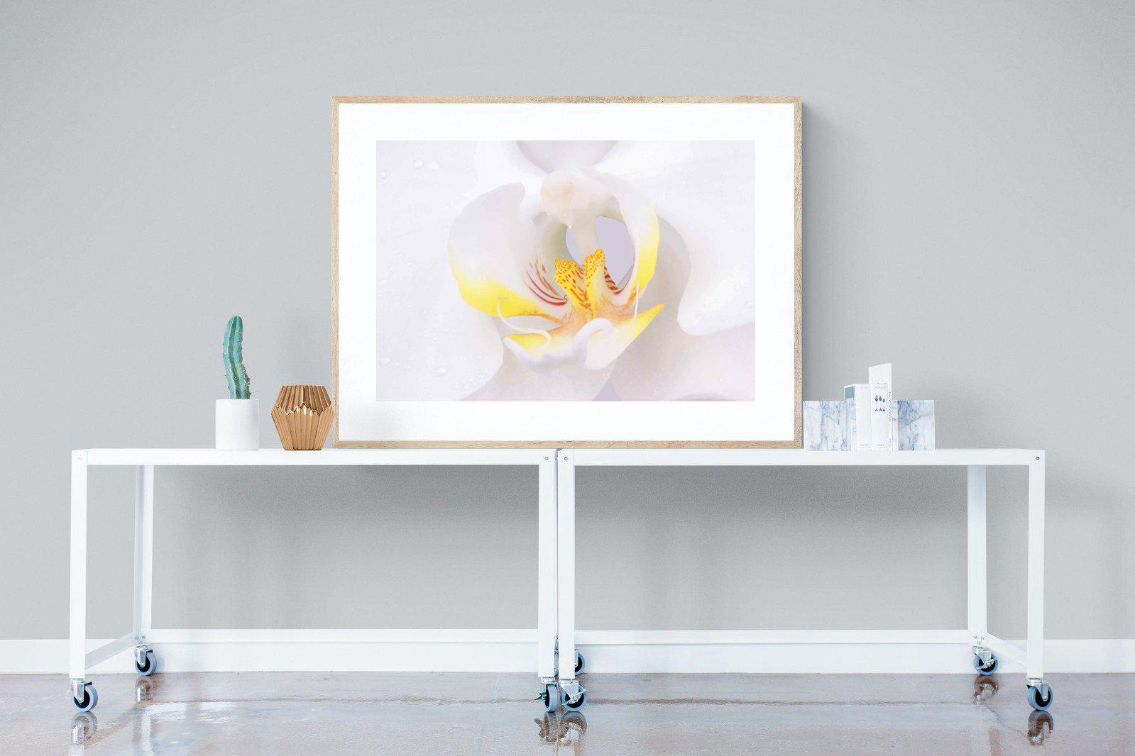 Orchid-Wall_Art-120 x 90cm-Framed Print-Wood-Pixalot