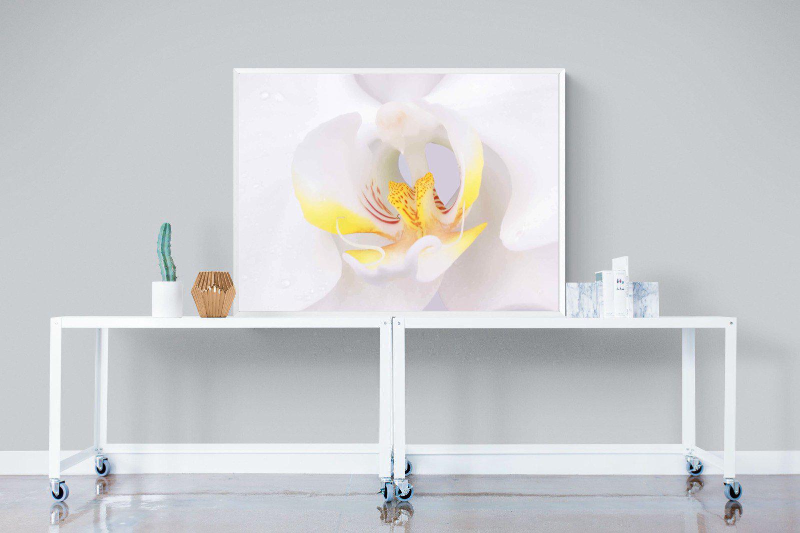 Orchid-Wall_Art-120 x 90cm-Mounted Canvas-White-Pixalot