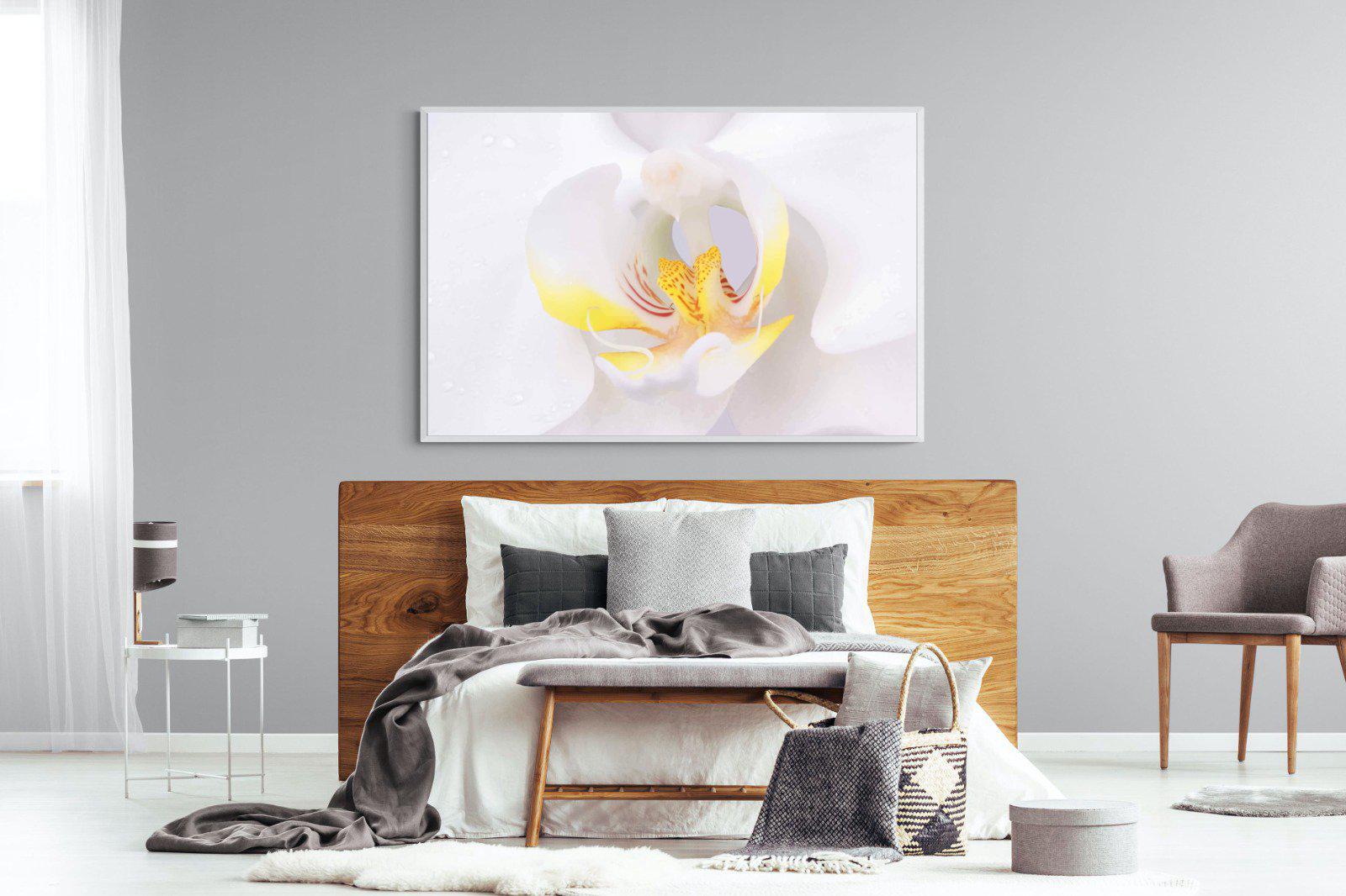Orchid-Wall_Art-150 x 100cm-Mounted Canvas-White-Pixalot
