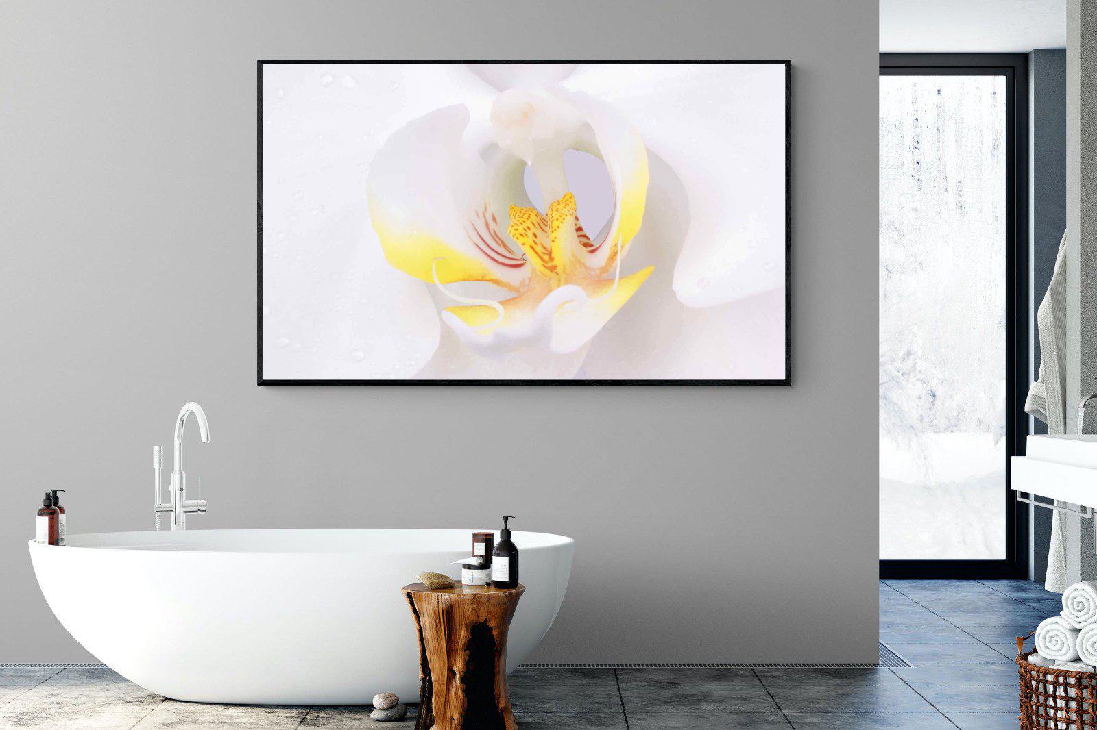 Orchid-Wall_Art-180 x 110cm-Mounted Canvas-Black-Pixalot