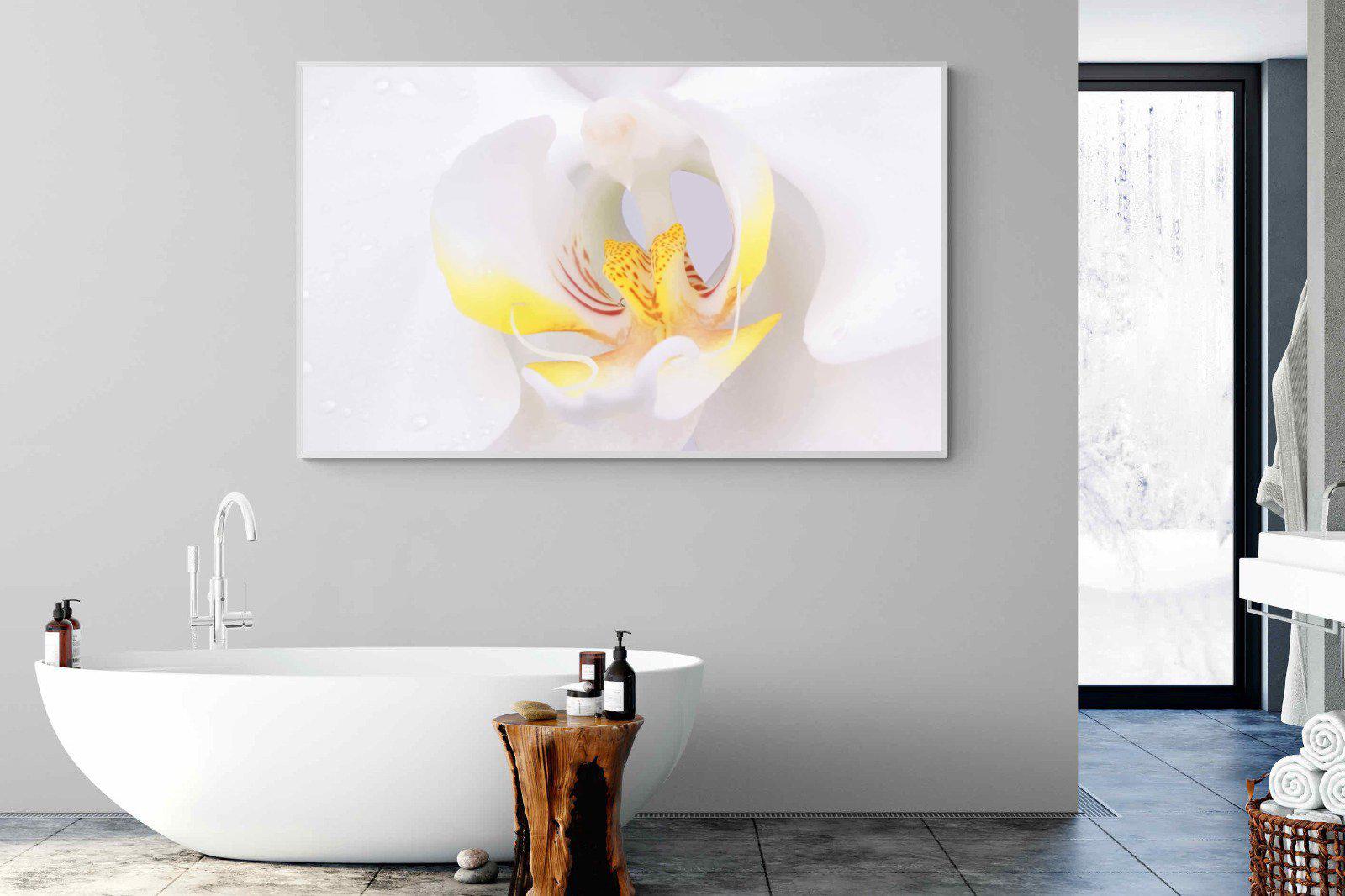 Orchid-Wall_Art-180 x 110cm-Mounted Canvas-White-Pixalot