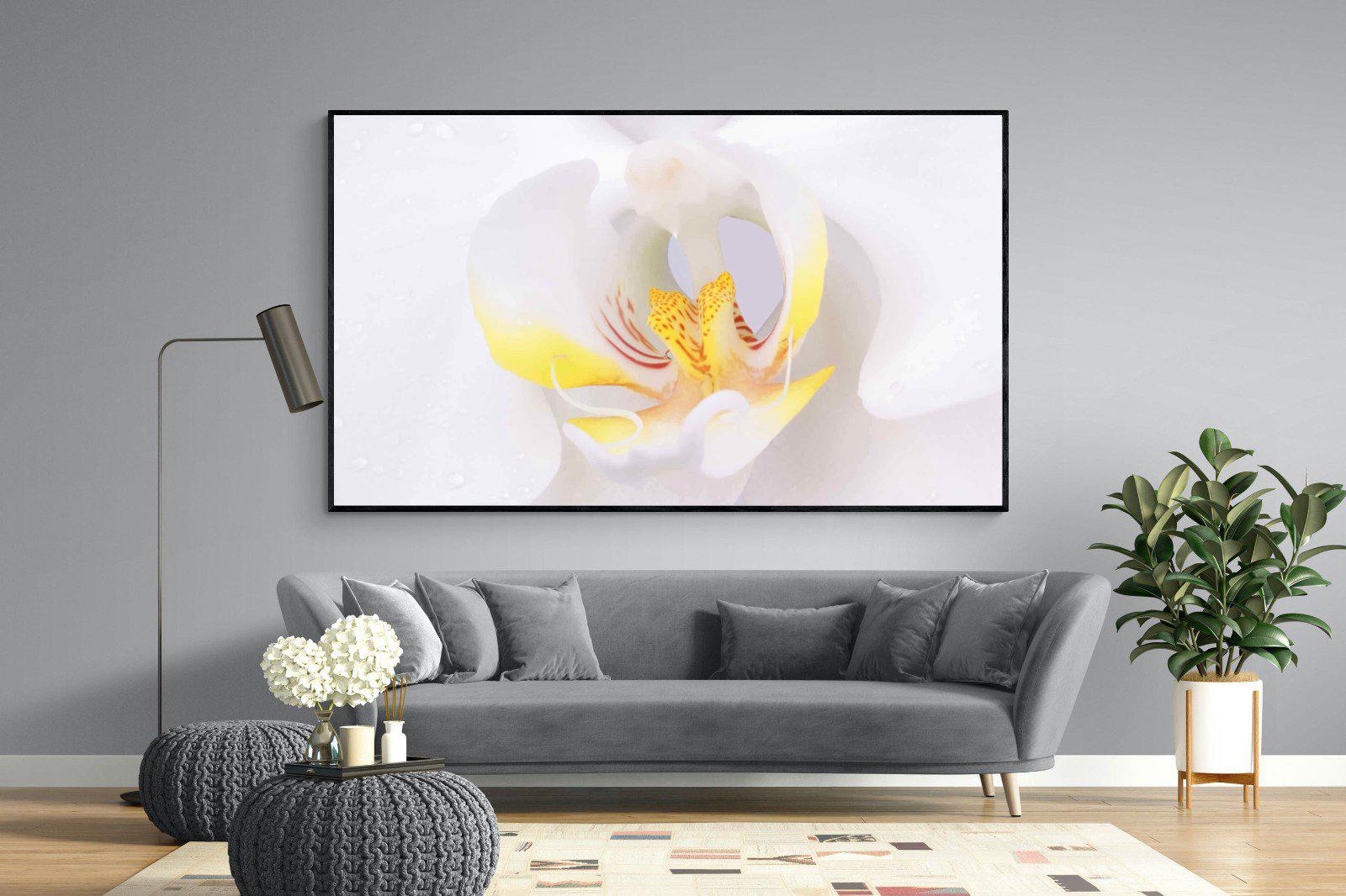Orchid-Wall_Art-220 x 130cm-Mounted Canvas-Black-Pixalot