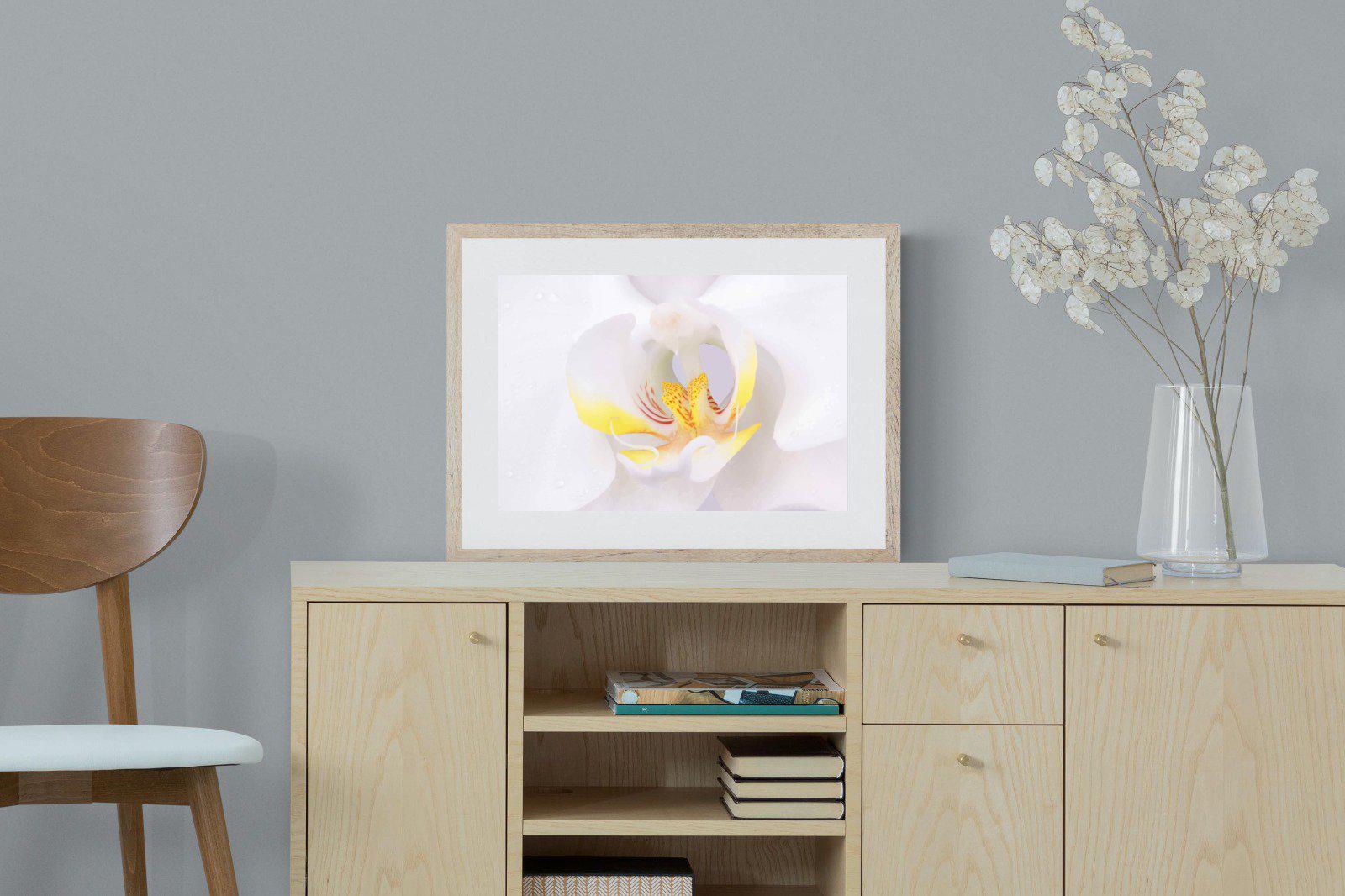 Orchid-Wall_Art-60 x 45cm-Framed Print-Wood-Pixalot