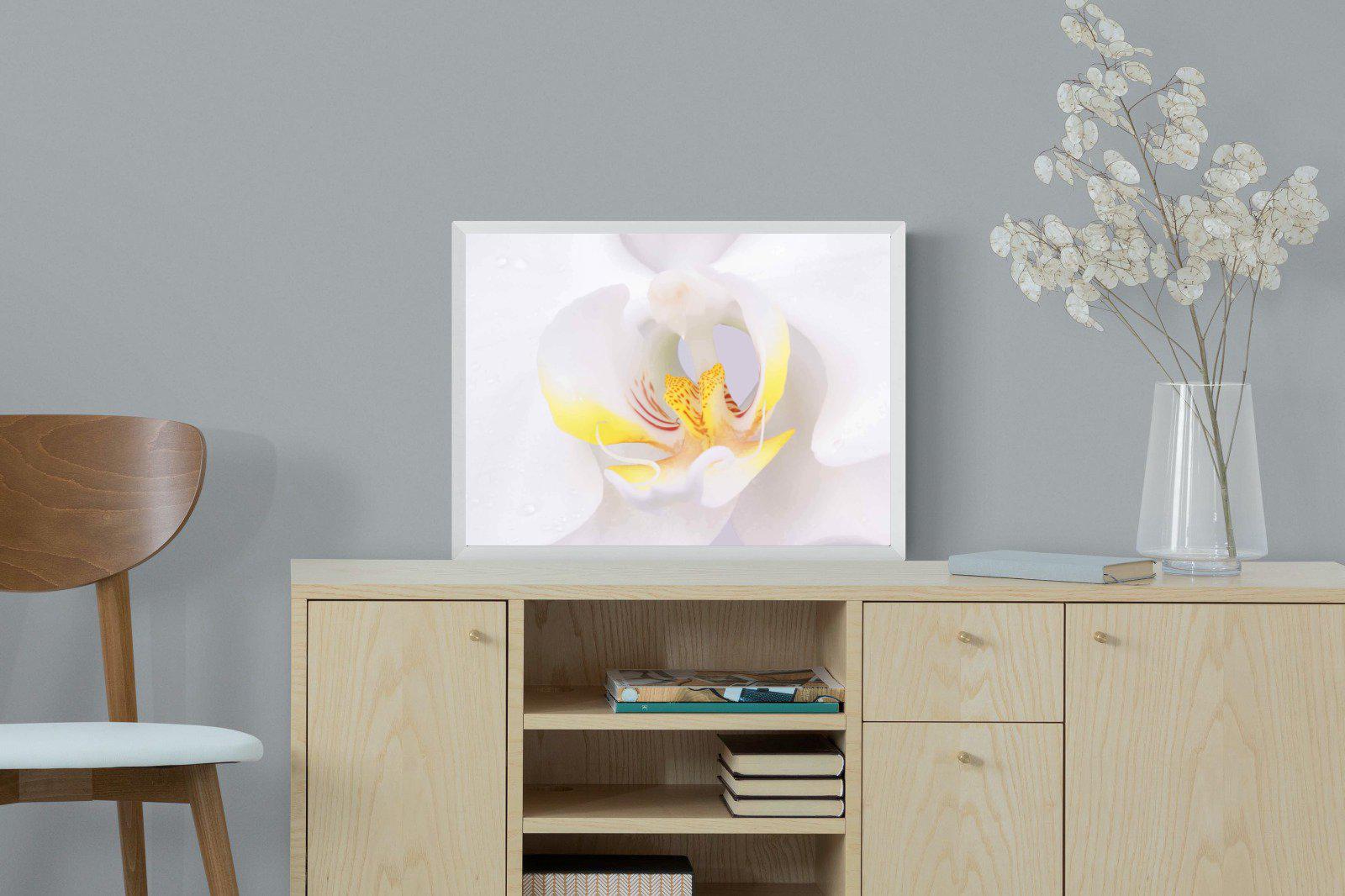 Orchid-Wall_Art-60 x 45cm-Mounted Canvas-White-Pixalot