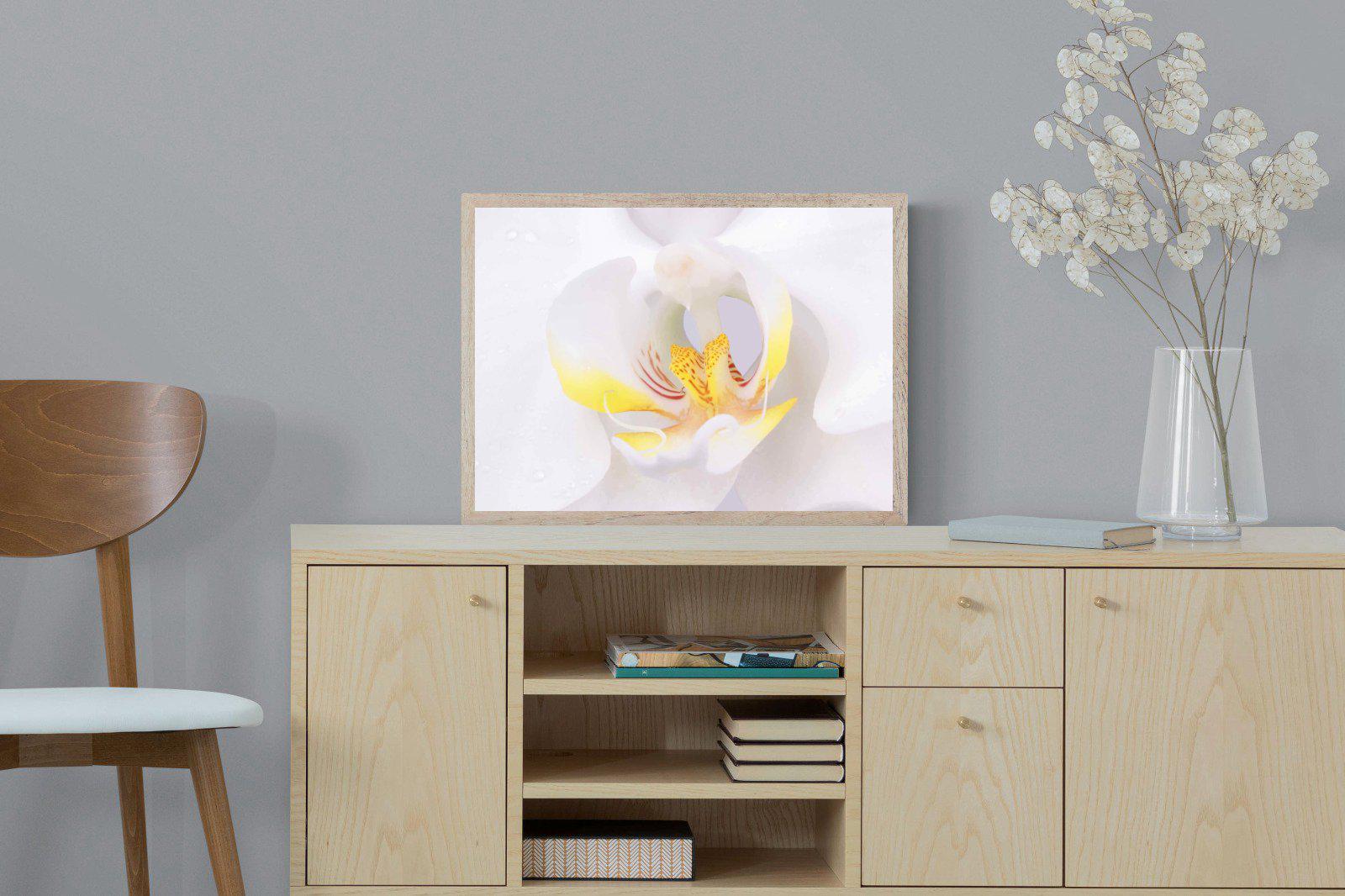 Orchid-Wall_Art-60 x 45cm-Mounted Canvas-Wood-Pixalot