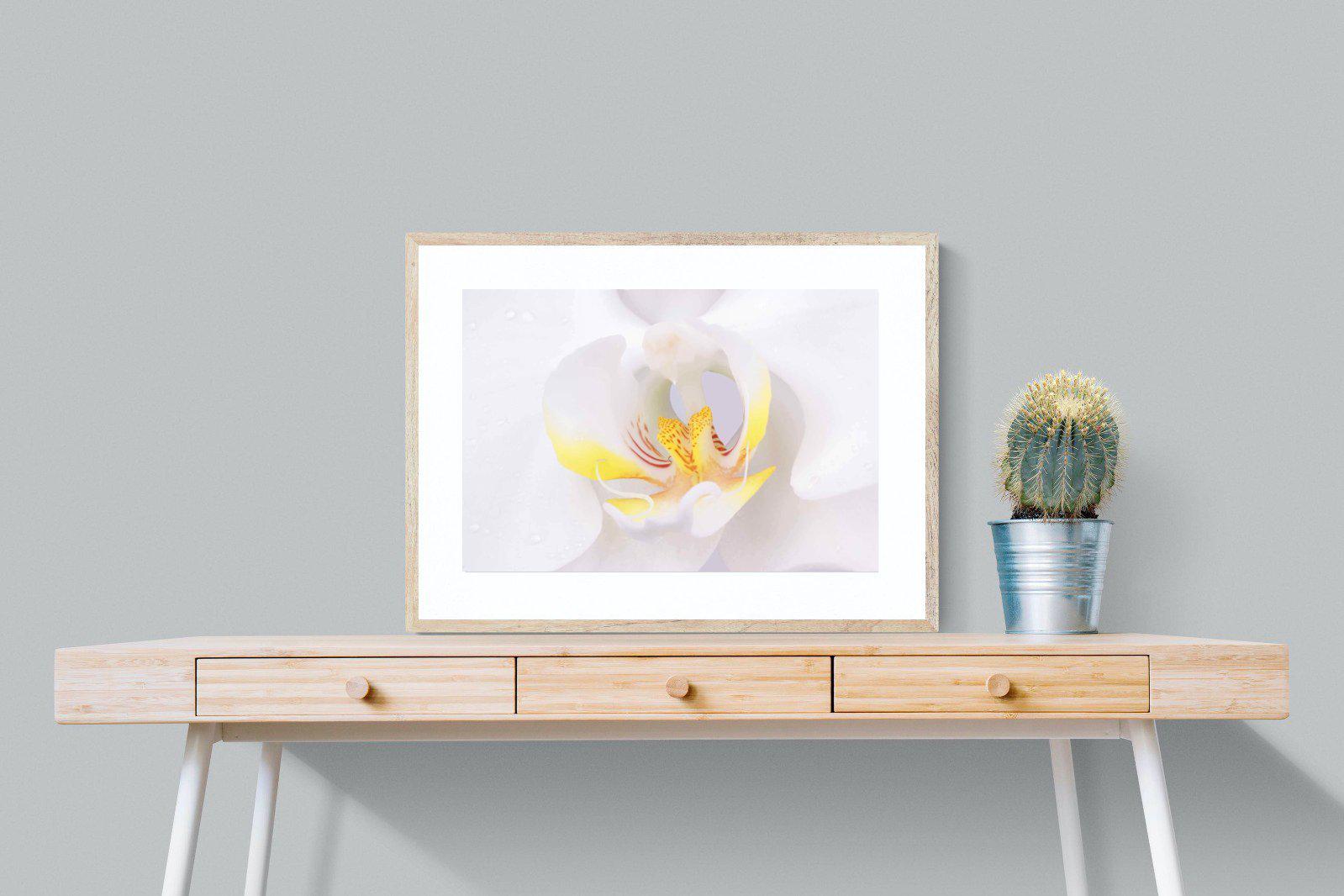 Orchid-Wall_Art-80 x 60cm-Framed Print-Wood-Pixalot
