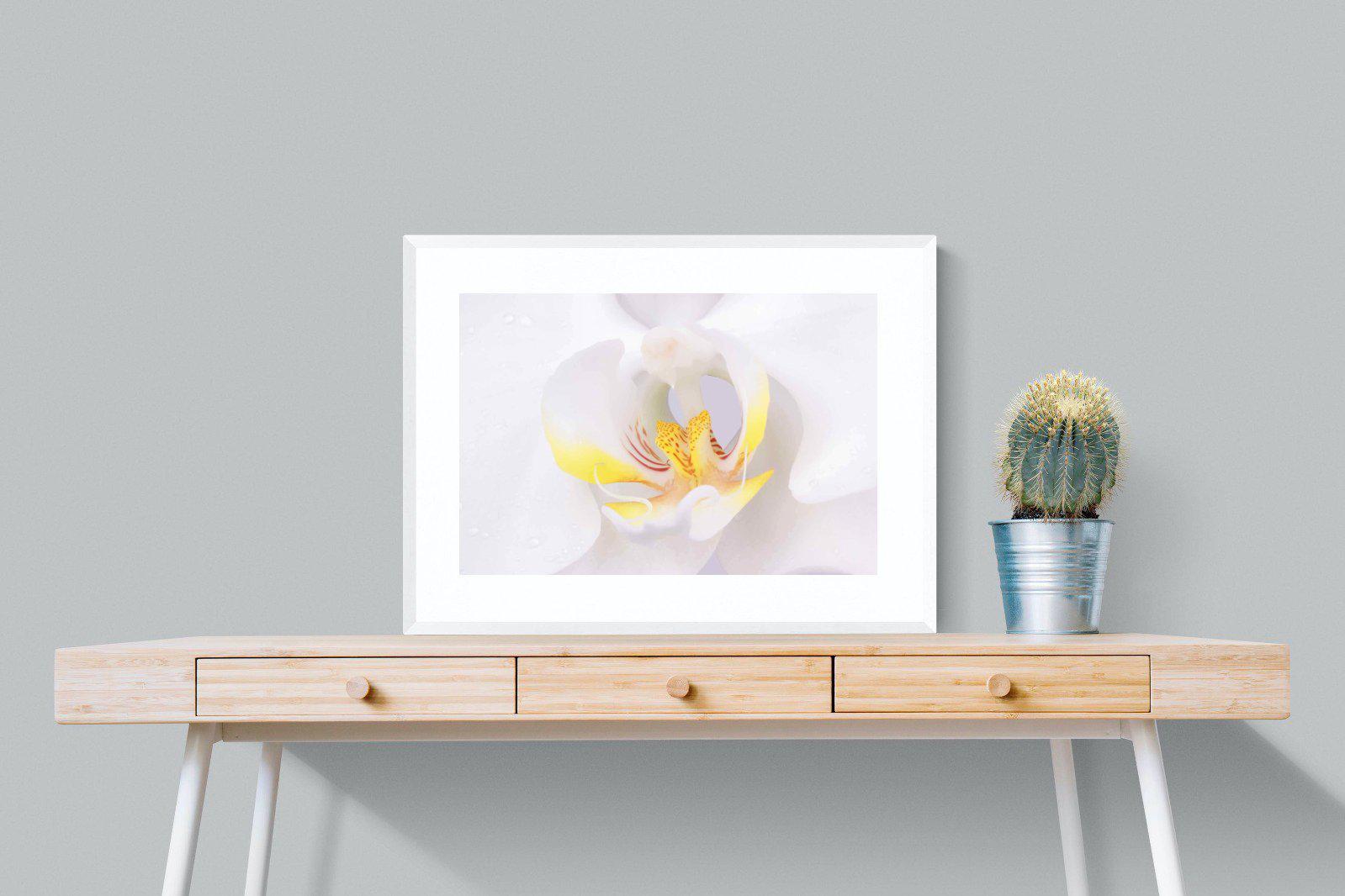 Orchid-Wall_Art-80 x 60cm-Framed Print-White-Pixalot