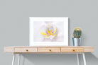 Orchid-Wall_Art-80 x 60cm-Framed Print-White-Pixalot