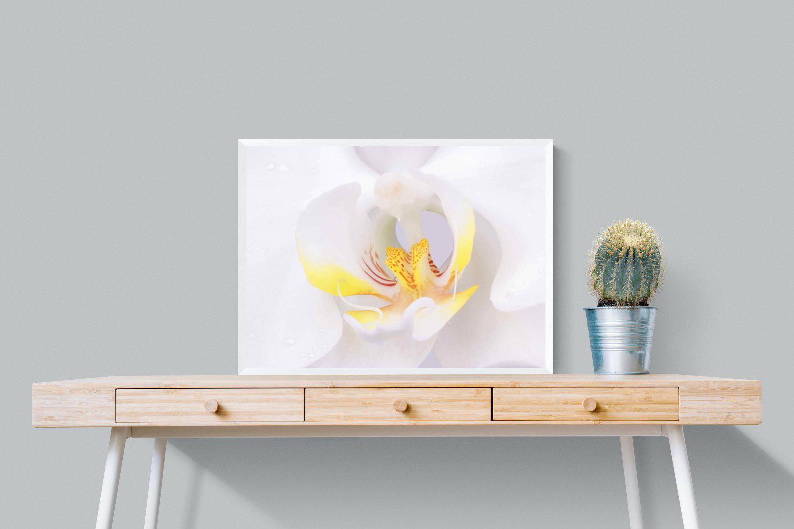 Orchid-Wall_Art-80 x 60cm-Mounted Canvas-White-Pixalot