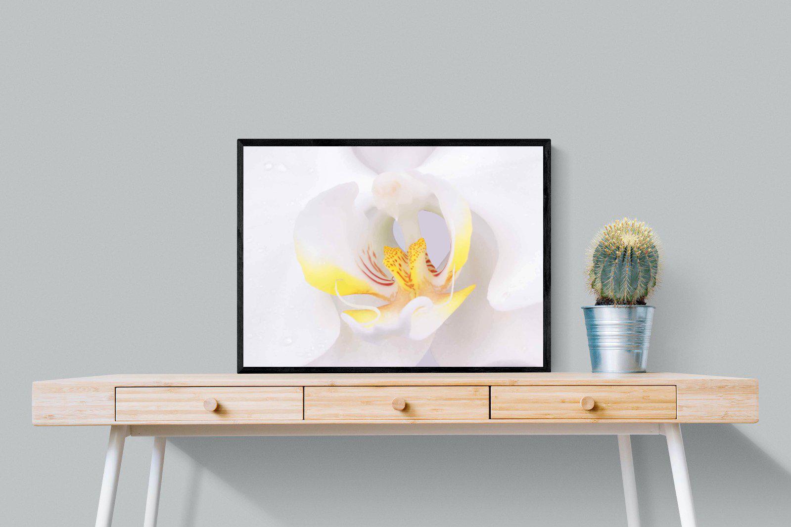 Orchid-Wall_Art-80 x 60cm-Mounted Canvas-Black-Pixalot