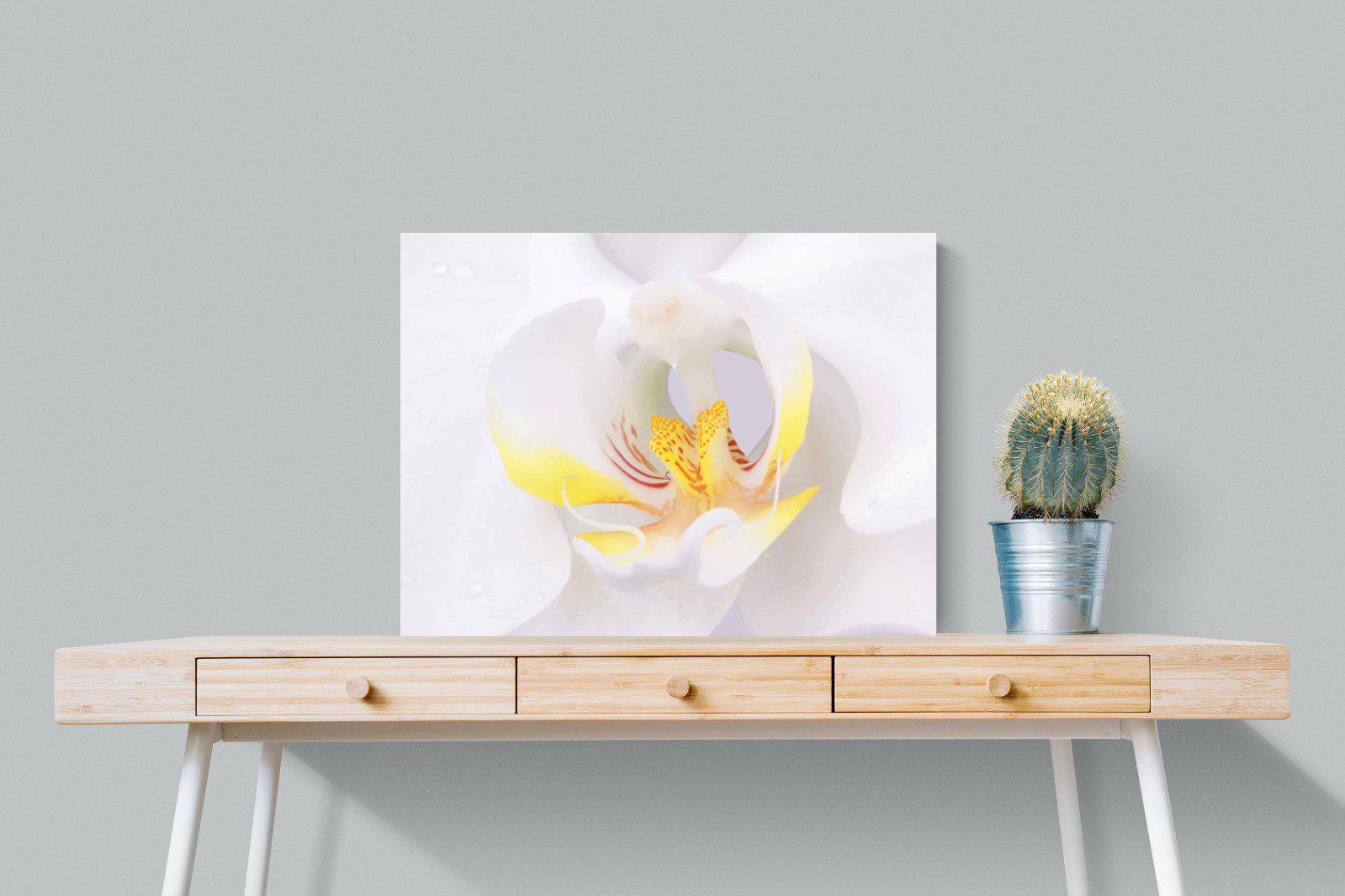 Orchid-Wall_Art-80 x 60cm-Mounted Canvas-No Frame-Pixalot