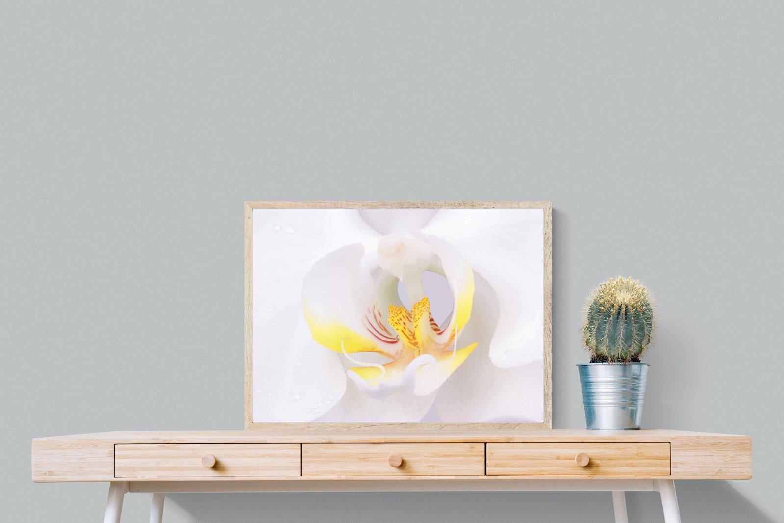 Orchid-Wall_Art-80 x 60cm-Mounted Canvas-Wood-Pixalot