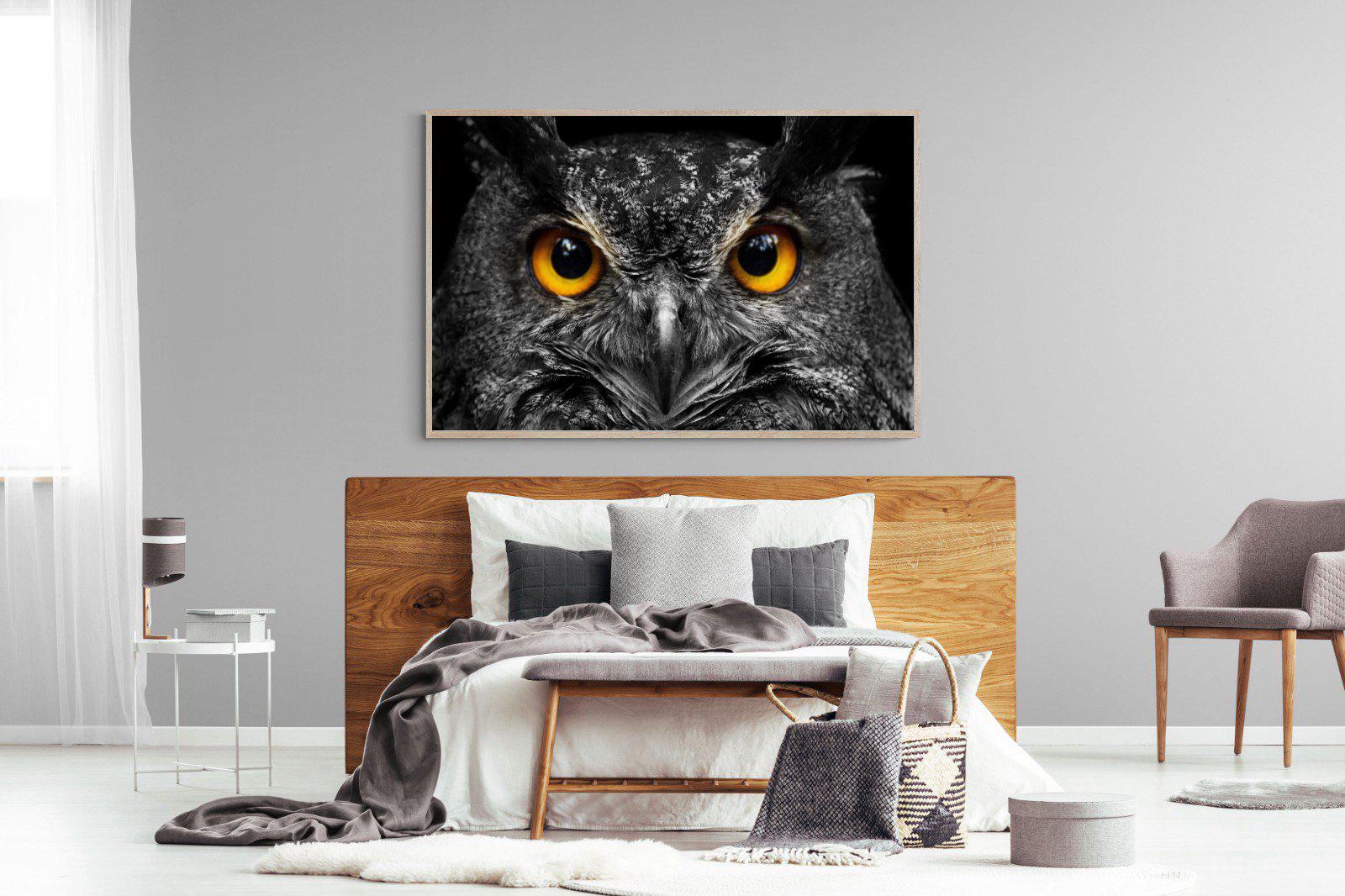 Owl Eyes-Wall_Art-150 x 100cm-Mounted Canvas-Wood-Pixalot