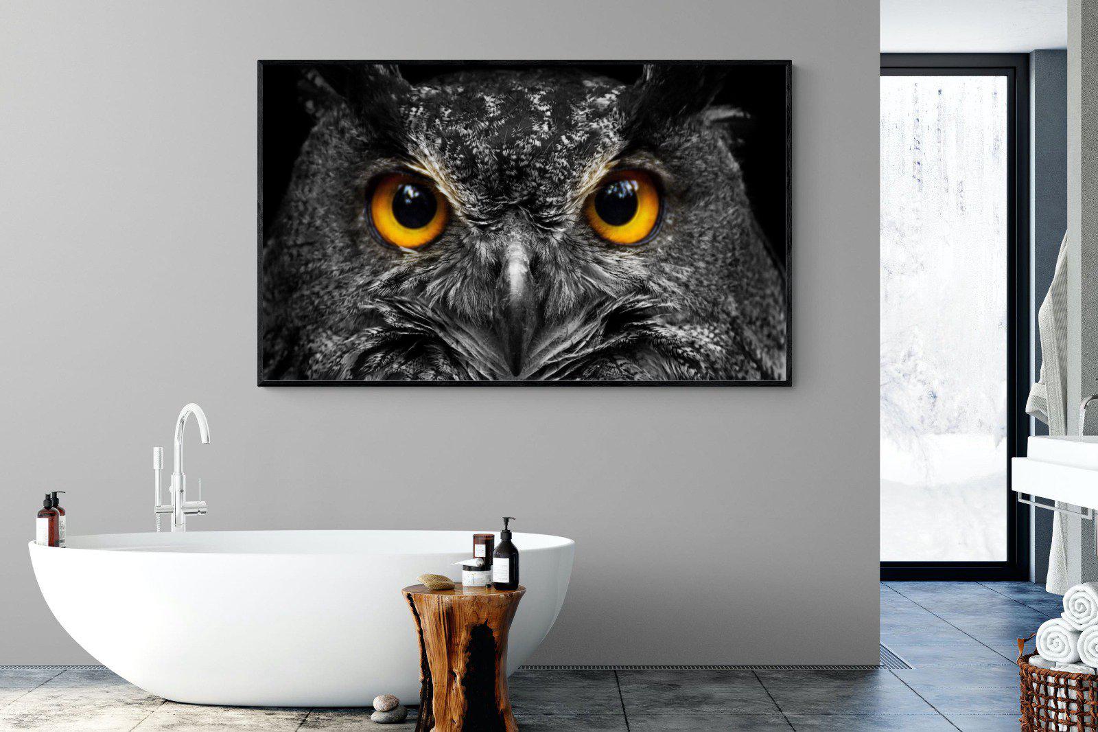Owl Eyes-Wall_Art-180 x 110cm-Mounted Canvas-Black-Pixalot