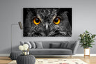 Owl Eyes-Wall_Art-220 x 130cm-Mounted Canvas-No Frame-Pixalot