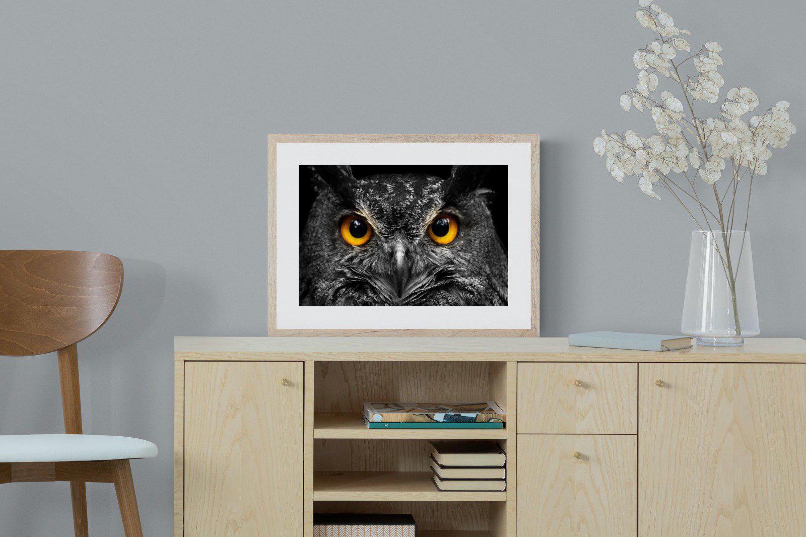 Owl Eyes-Wall_Art-60 x 45cm-Framed Print-Wood-Pixalot