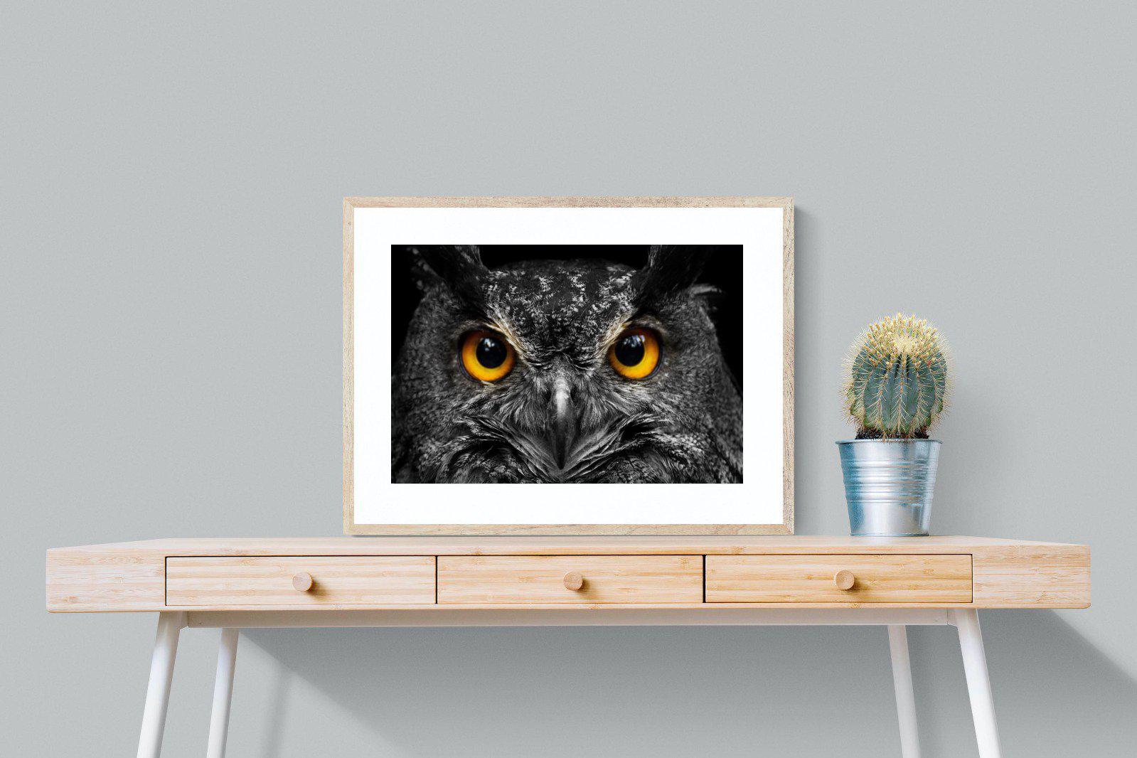 Owl Eyes-Wall_Art-80 x 60cm-Framed Print-Wood-Pixalot