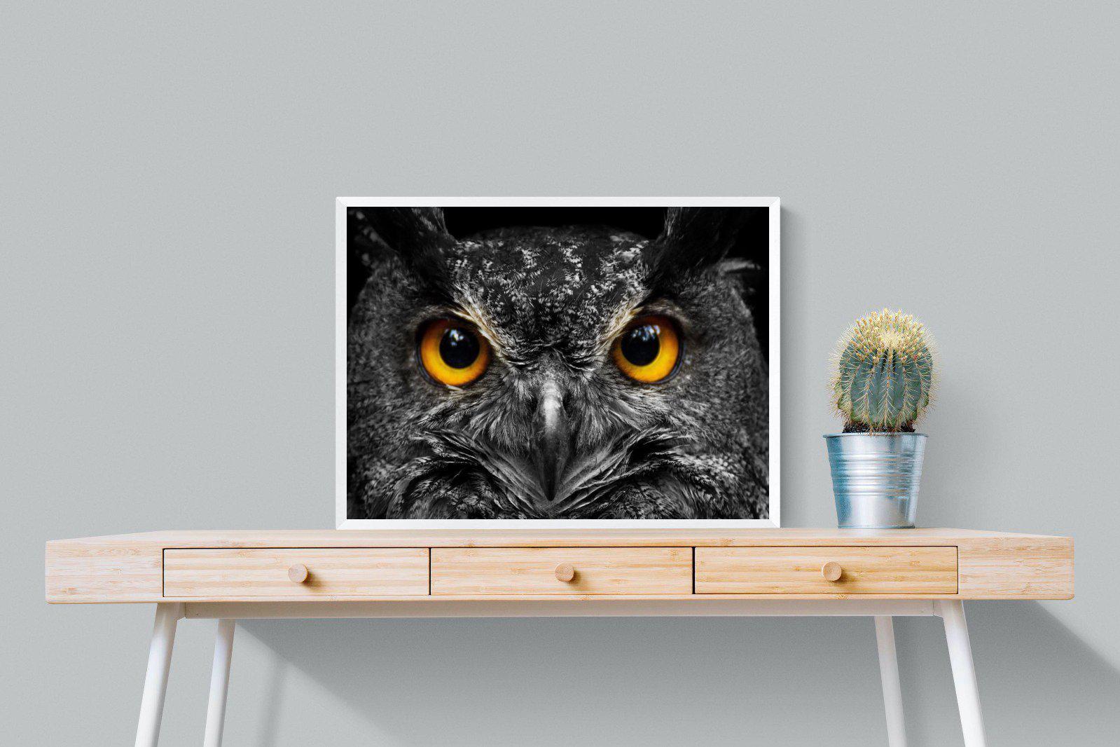 Owl Eyes-Wall_Art-80 x 60cm-Mounted Canvas-White-Pixalot