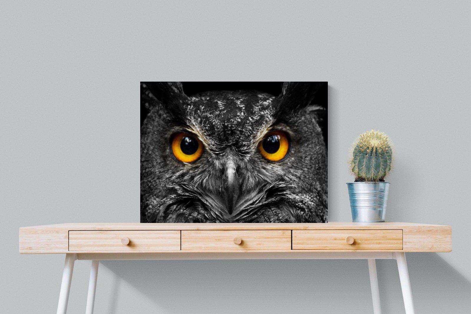 Owl Eyes-Wall_Art-80 x 60cm-Mounted Canvas-No Frame-Pixalot