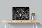 Owl Eyes-Wall_Art-80 x 60cm-Mounted Canvas-No Frame-Pixalot