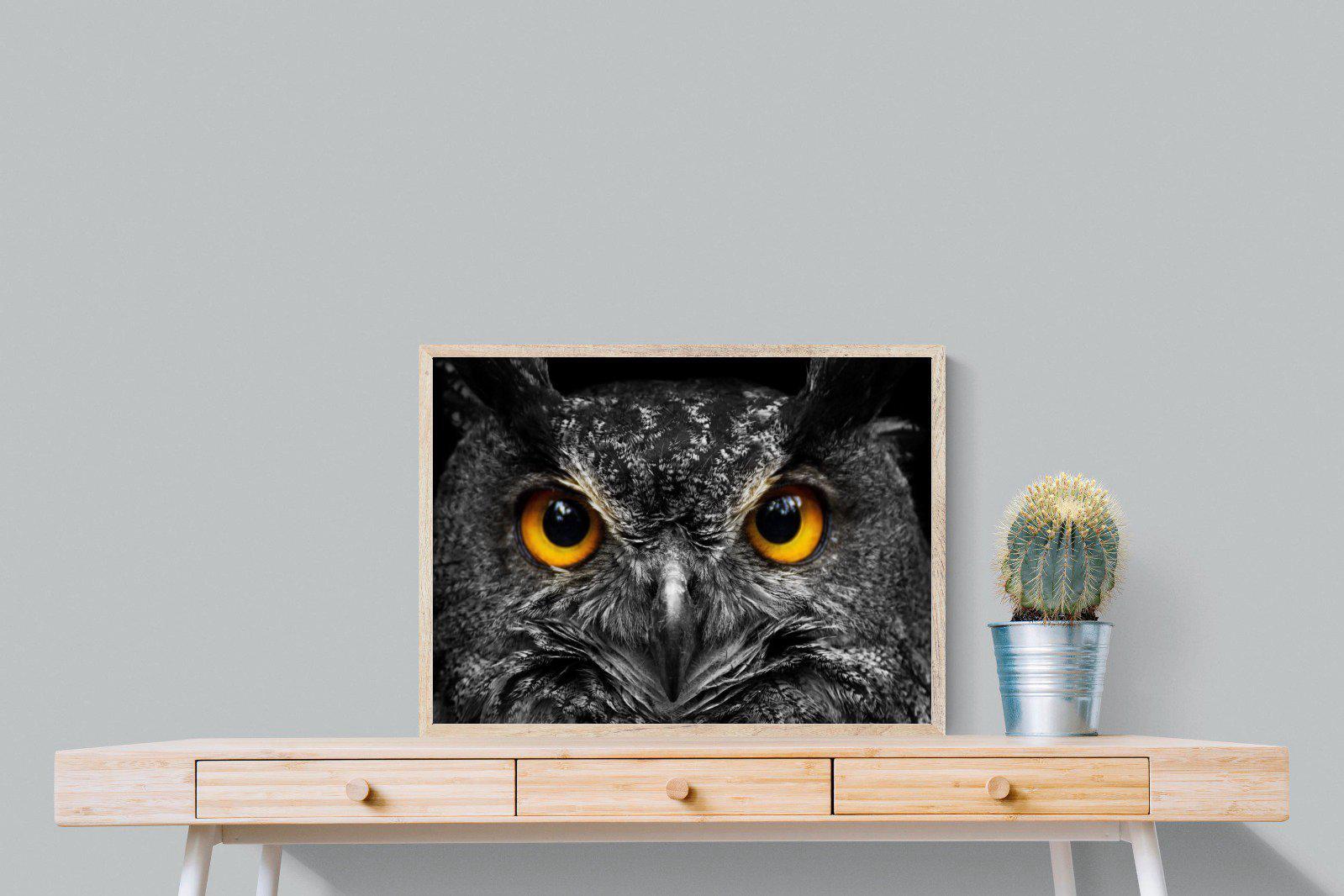 Owl Eyes-Wall_Art-80 x 60cm-Mounted Canvas-Wood-Pixalot