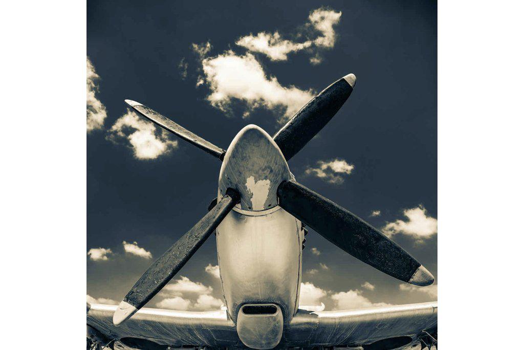 P-51-Wall_Art-Pixalot