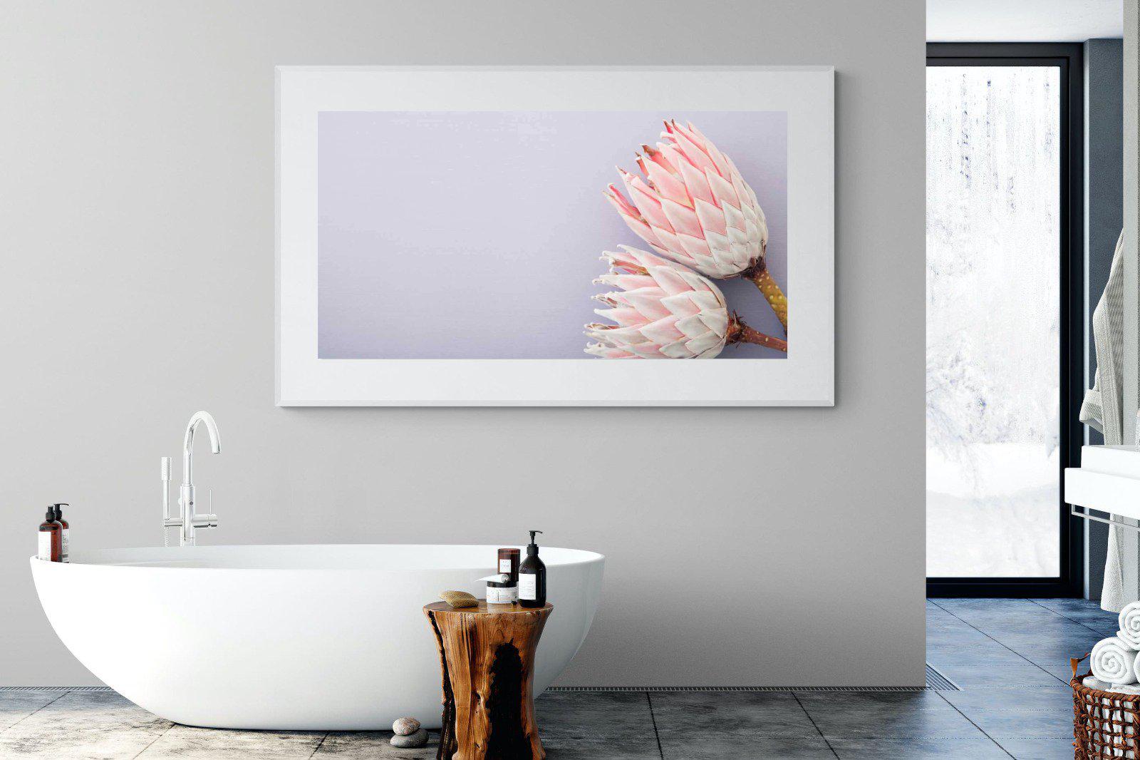 Pair of Proteas-Wall_Art-180 x 110cm-Framed Print-White-Pixalot