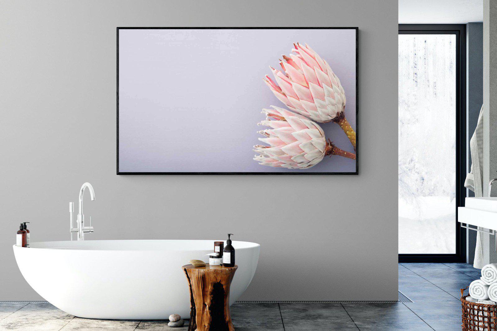 Pair of Proteas-Wall_Art-180 x 110cm-Mounted Canvas-Black-Pixalot