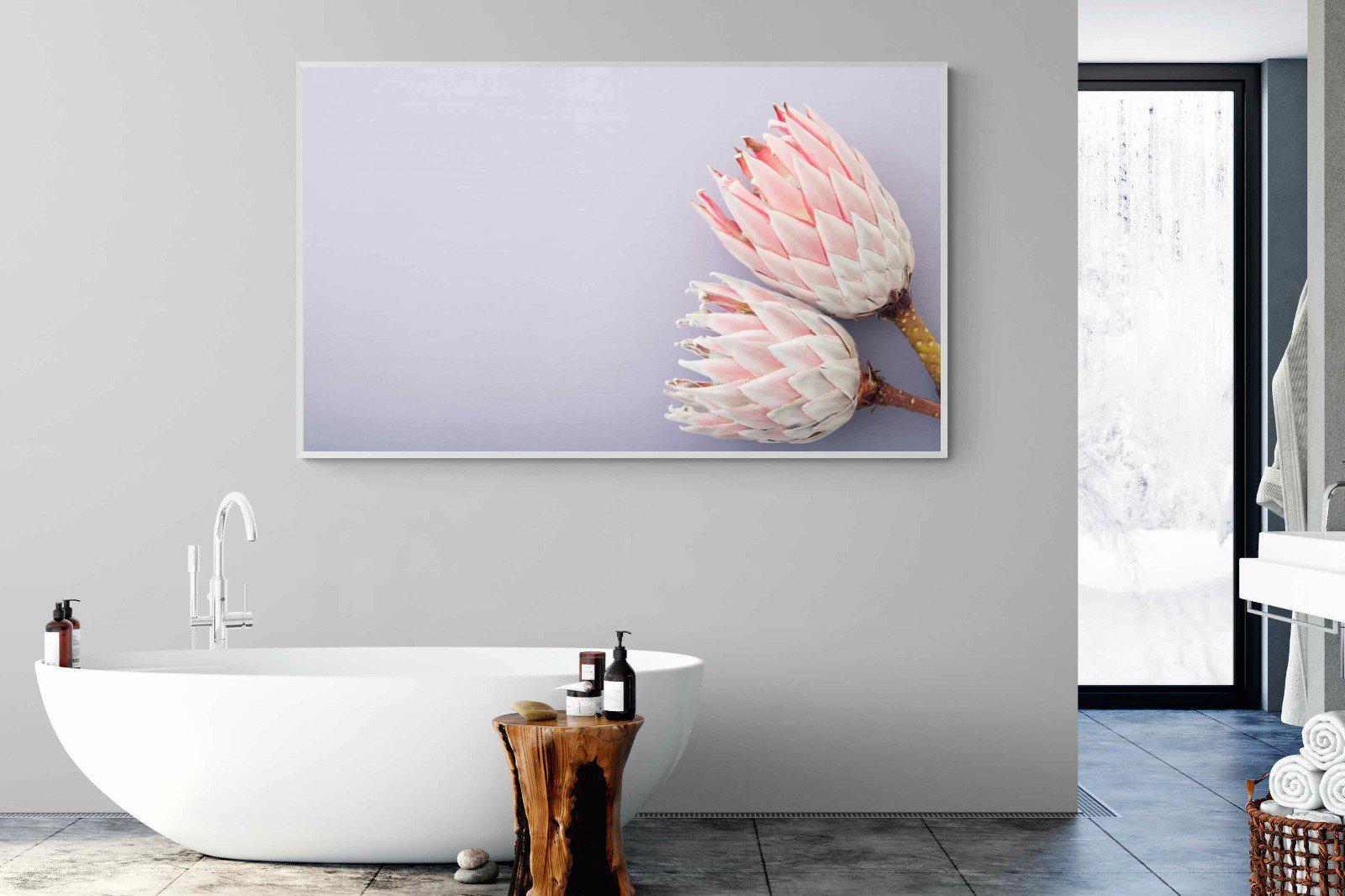 Pair of Proteas-Wall_Art-180 x 110cm-Mounted Canvas-White-Pixalot
