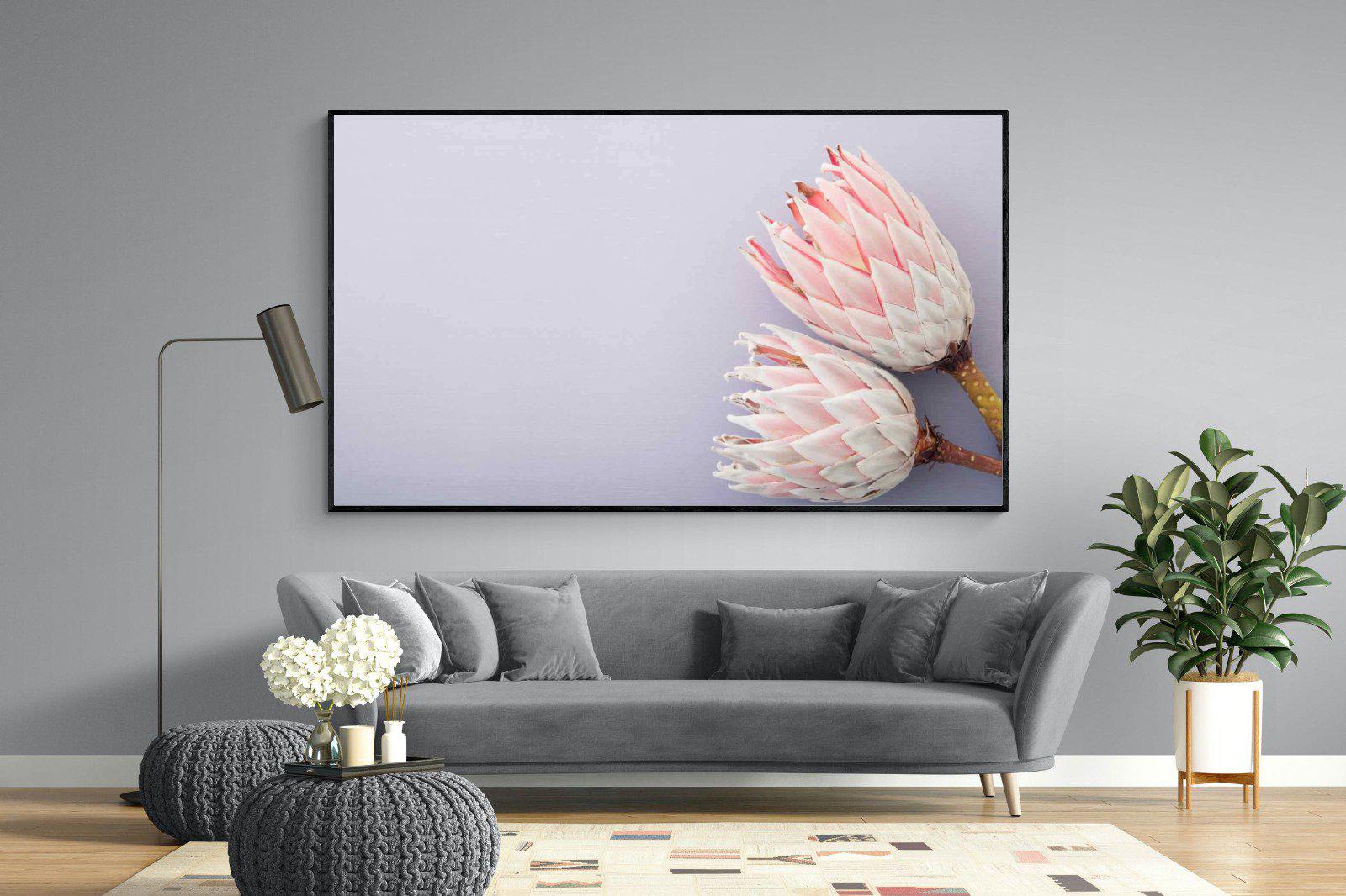 Pair of Proteas-Wall_Art-220 x 130cm-Mounted Canvas-Black-Pixalot