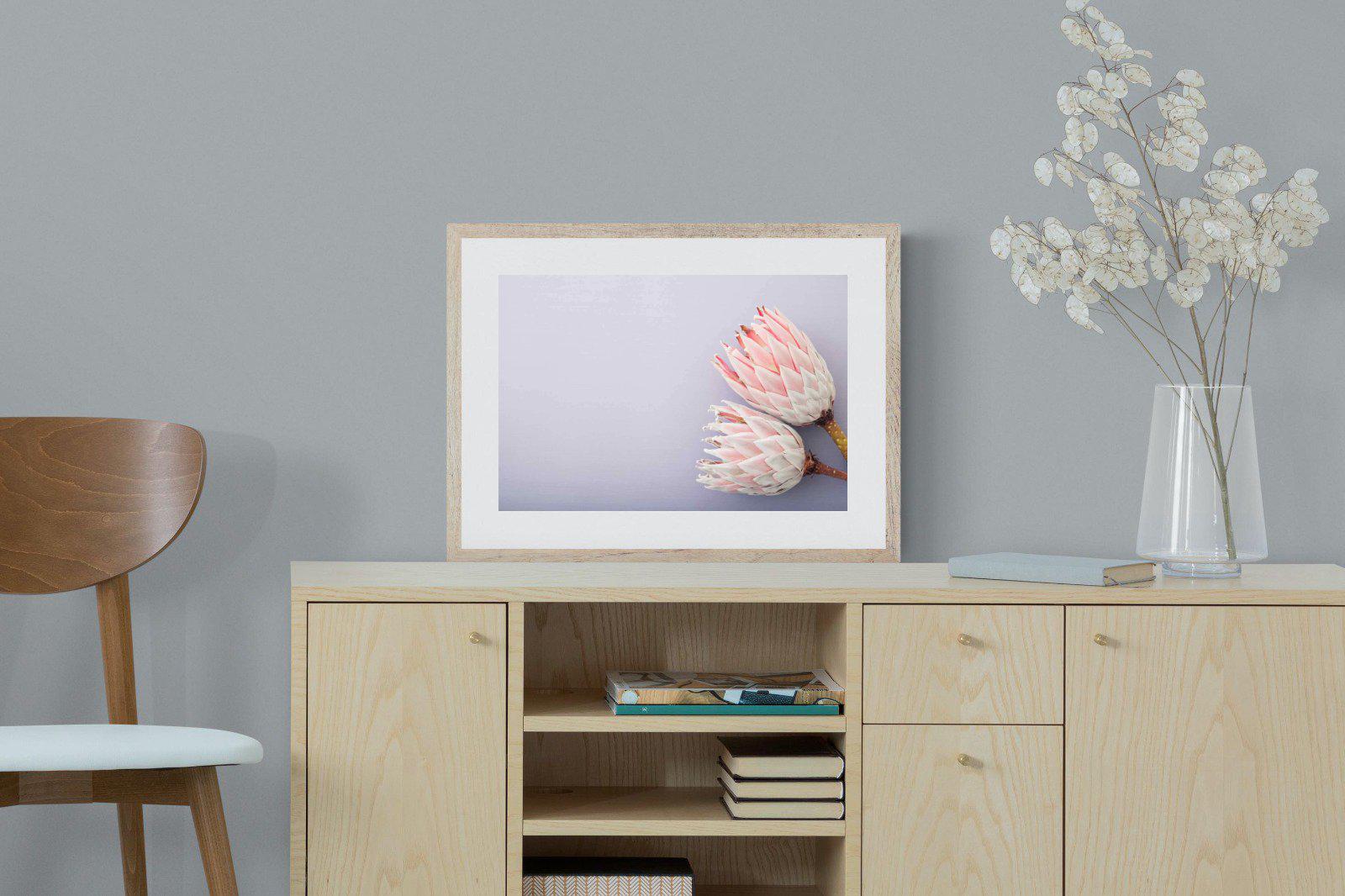 Pair of Proteas-Wall_Art-60 x 45cm-Framed Print-Wood-Pixalot