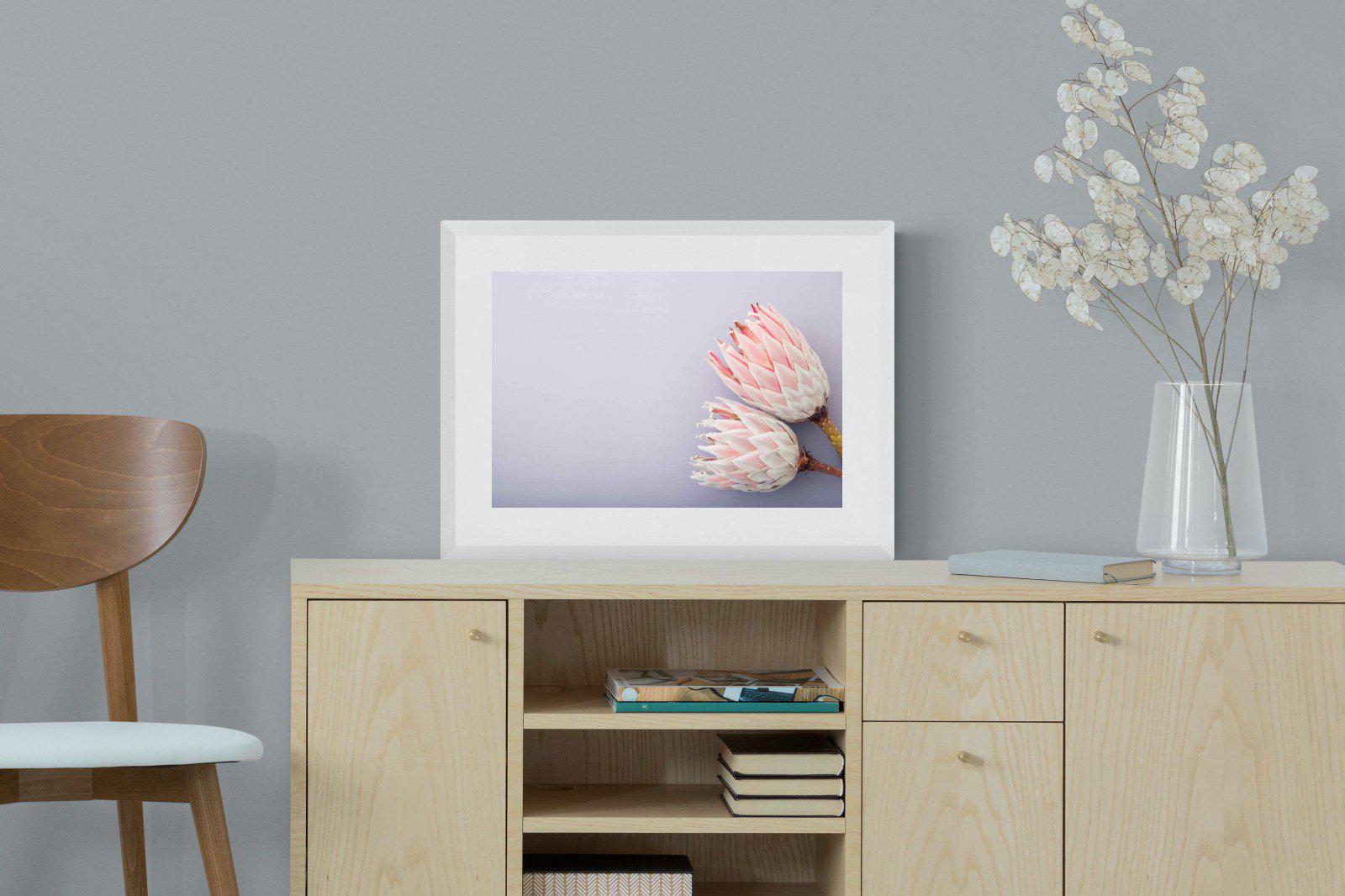 Pair of Proteas-Wall_Art-60 x 45cm-Framed Print-White-Pixalot