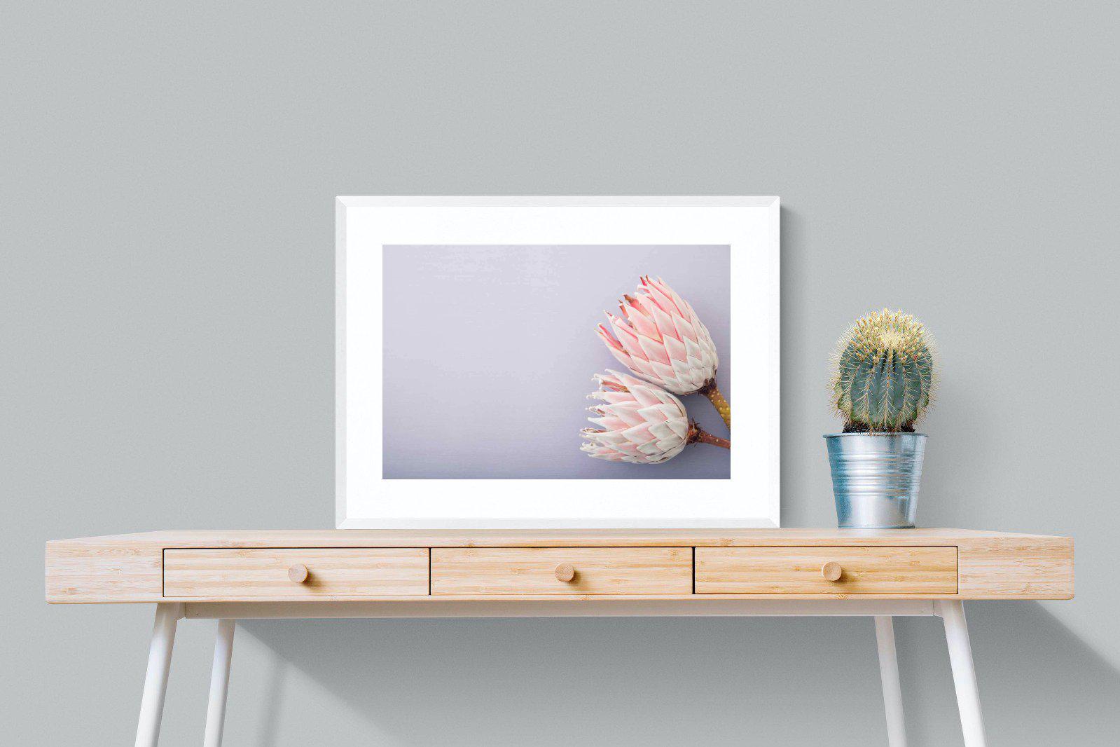 Pair of Proteas-Wall_Art-80 x 60cm-Framed Print-White-Pixalot
