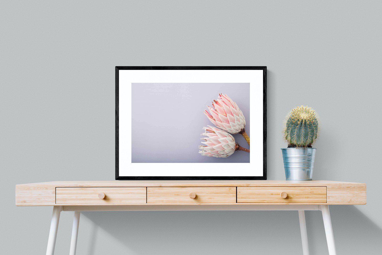 Pair of Proteas-Wall_Art-80 x 60cm-Framed Print-Black-Pixalot