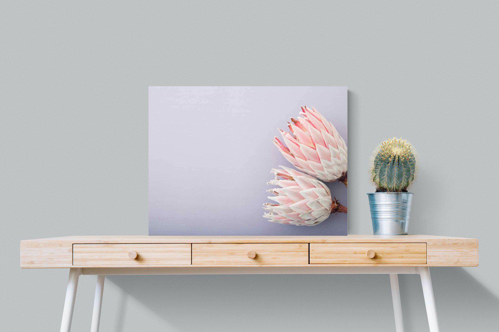 Pair of Proteas-Wall_Art-80 x 60cm-Mounted Canvas-No Frame-Pixalot