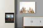 Pampas Grass-Wall_Art-100 x 75cm-Mounted Canvas-Wood-Pixalot