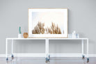 Pampas Grass-Wall_Art-120 x 90cm-Framed Print-Wood-Pixalot