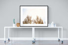 Pampas Grass-Wall_Art-120 x 90cm-Framed Print-Black-Pixalot