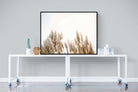 Pampas Grass-Wall_Art-120 x 90cm-Mounted Canvas-Black-Pixalot