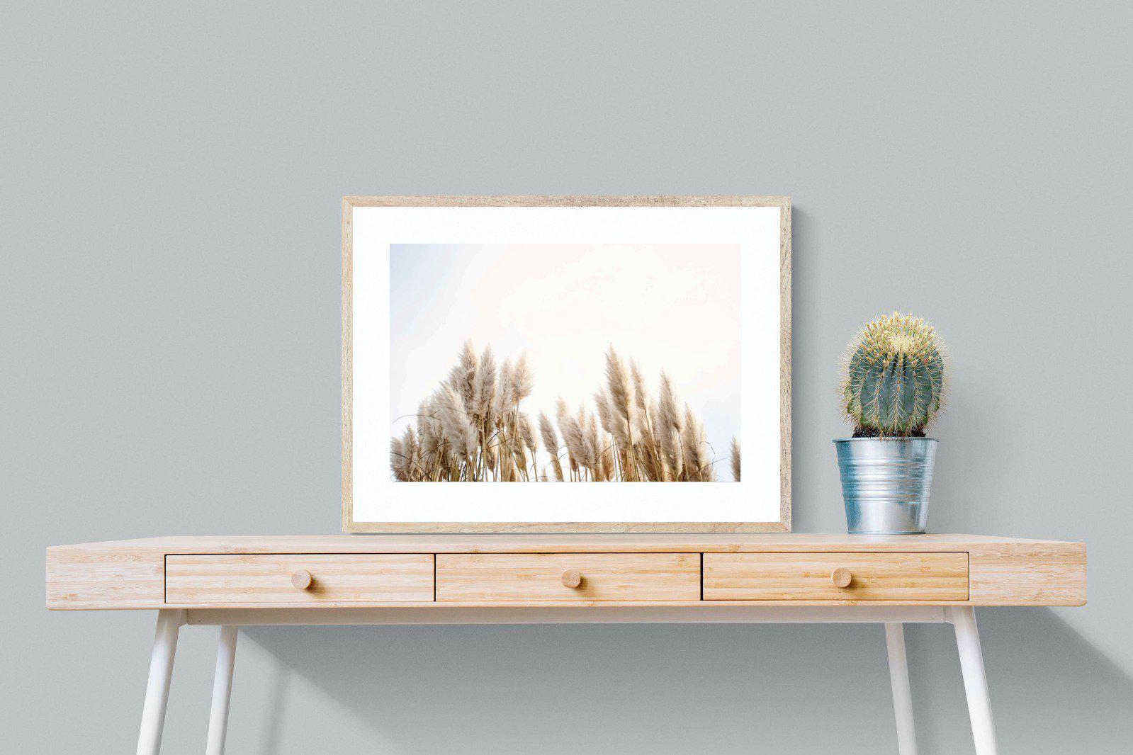 Pampas Grass-Wall_Art-80 x 60cm-Framed Print-Wood-Pixalot