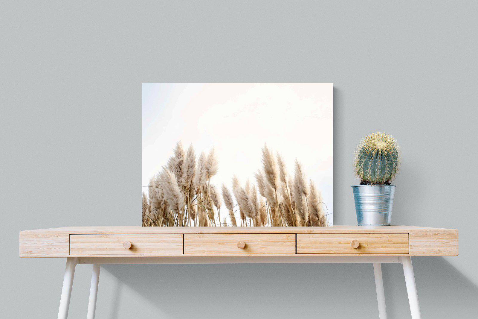 Pampas Grass-Wall_Art-80 x 60cm-Mounted Canvas-No Frame-Pixalot