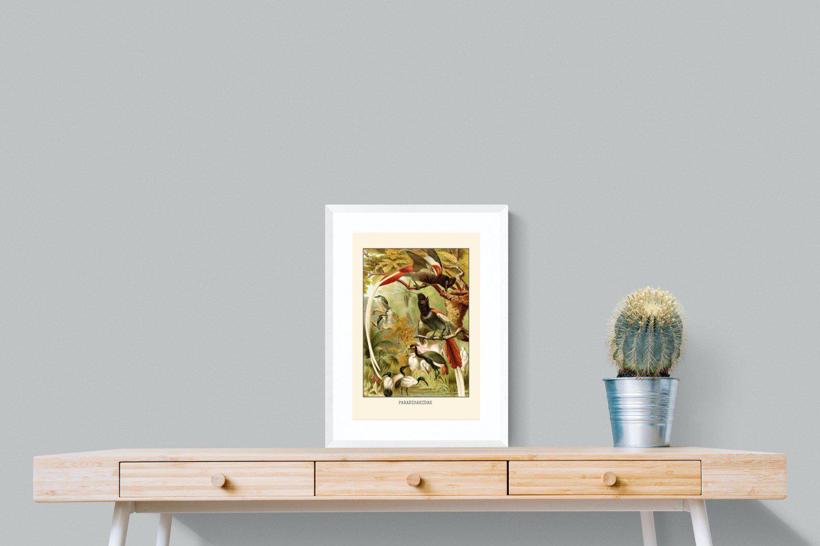 Paradise Flycatchers Etching-Wall_Art-45 x 60cm-Framed Print-White-Pixalot