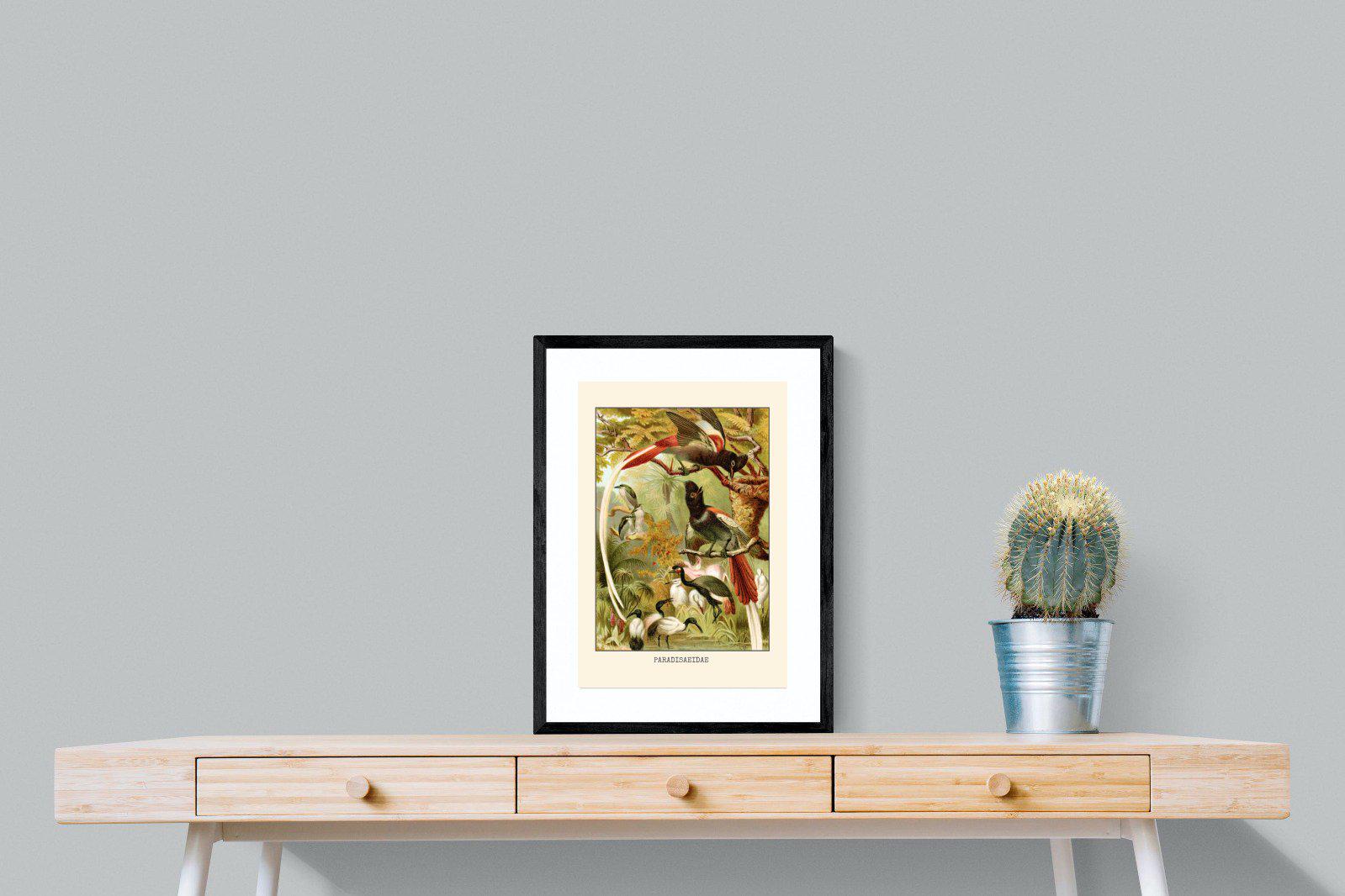 Paradise Flycatchers Etching-Wall_Art-45 x 60cm-Framed Print-Black-Pixalot