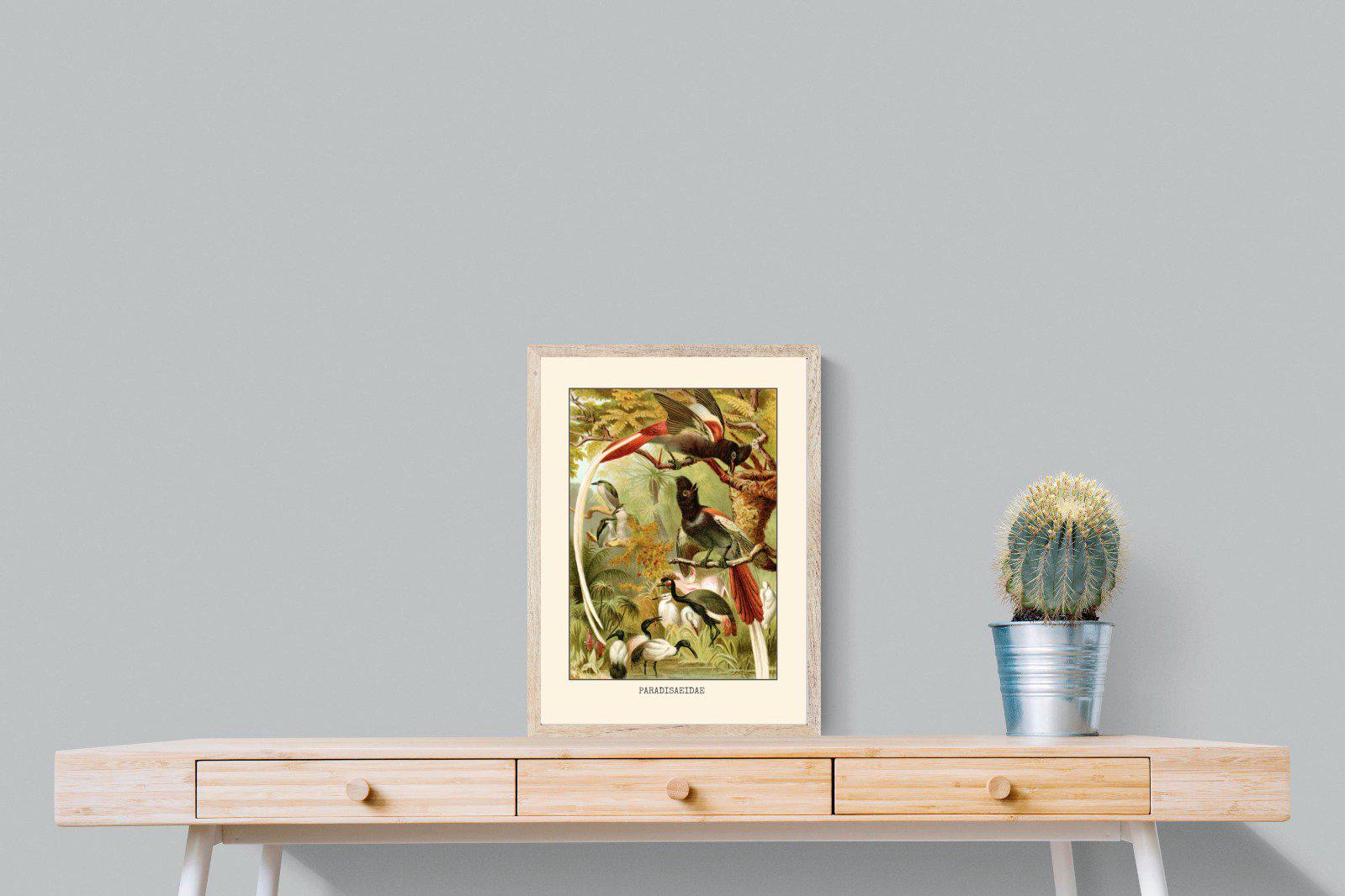 Paradise Flycatchers Etching-Wall_Art-45 x 60cm-Mounted Canvas-Wood-Pixalot