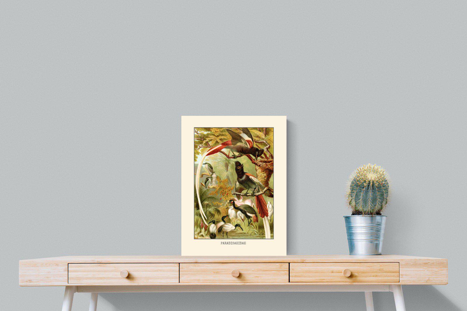 Paradise Flycatchers Etching-Wall_Art-45 x 60cm-Mounted Canvas-No Frame-Pixalot