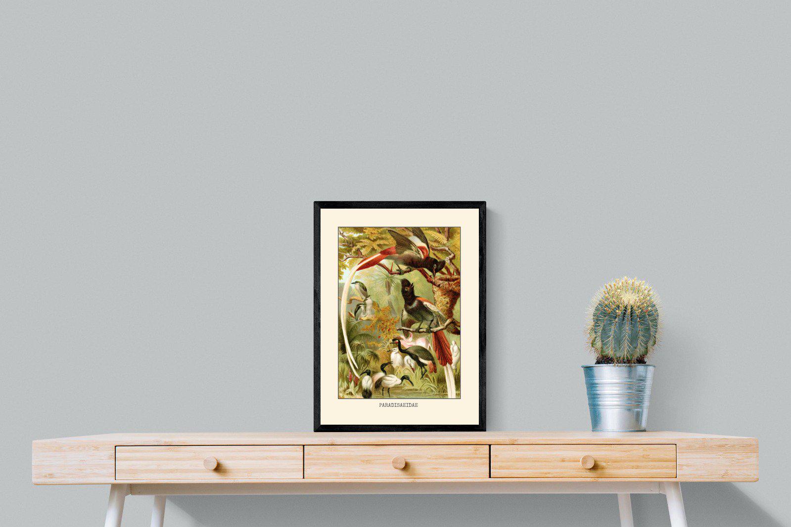 Paradise Flycatchers Etching-Wall_Art-45 x 60cm-Mounted Canvas-Black-Pixalot